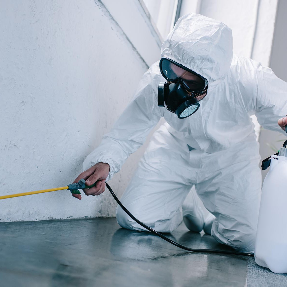 8 Advantages of choosing online pest control services
