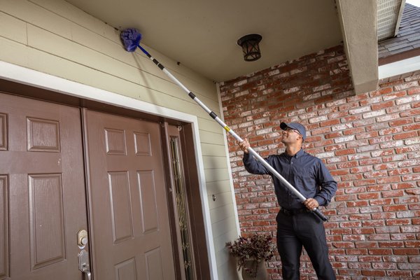 7 Things to Discuss with Pest Control Companies in Groveland